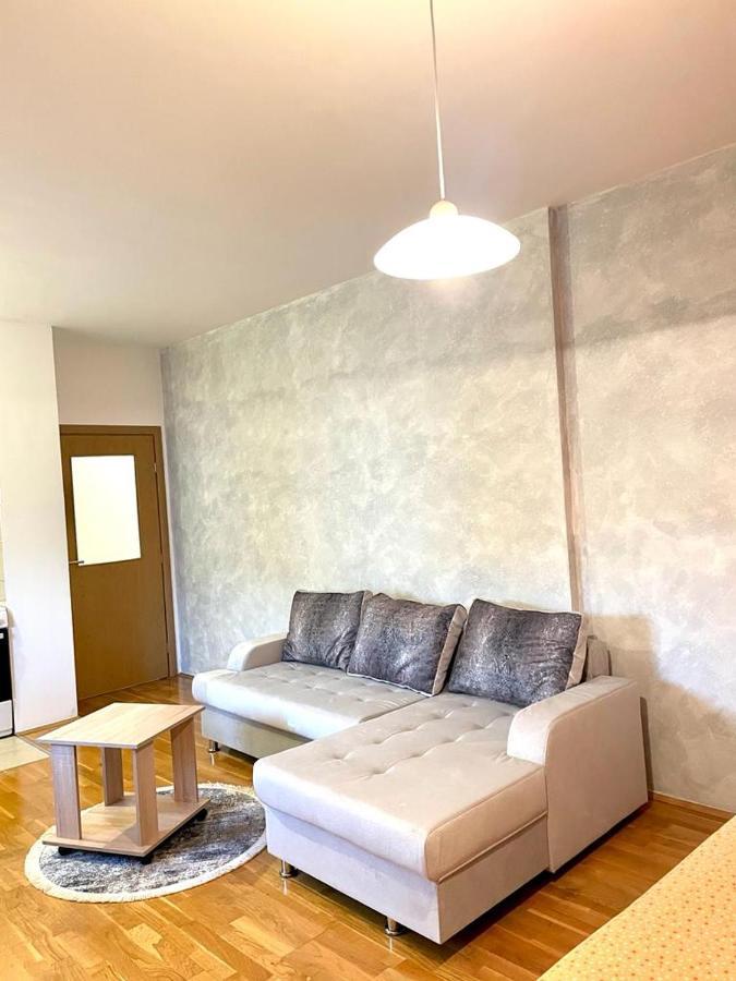Appartement Naki Apartman à Podgorica Extérieur photo